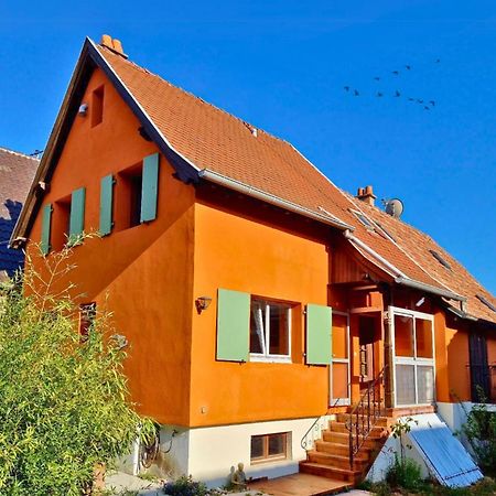 Beau Logement Au Centre D'Alsace Epfig المظهر الخارجي الصورة